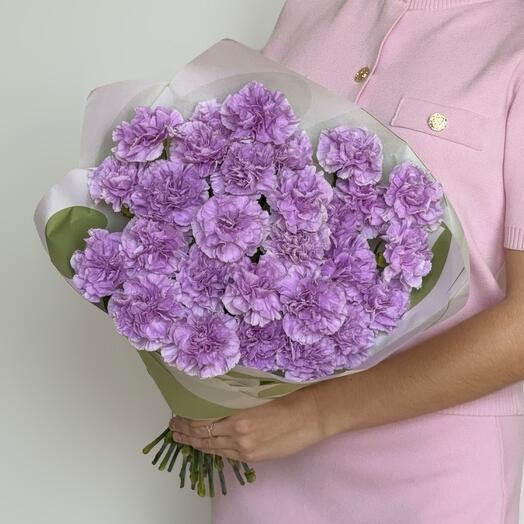 Lilac carnations (30 pcs)