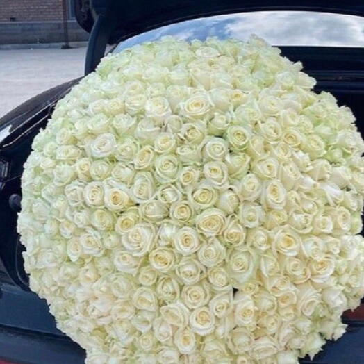 Роскошный букет из 200 белых роз размера XXL