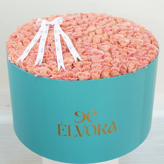 PINK ROSE HORIZON BOX