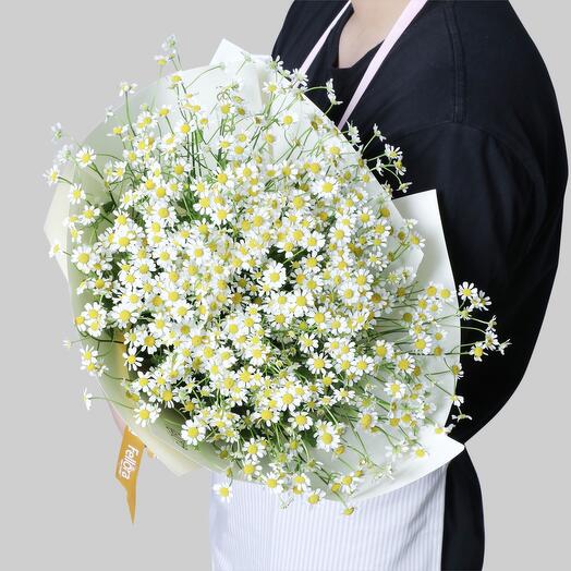 Ramo de Tanacetum-1306