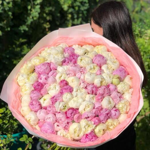 Bouquet of 101 white and pink peonies