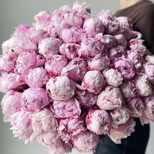 Classic Pink Peonies