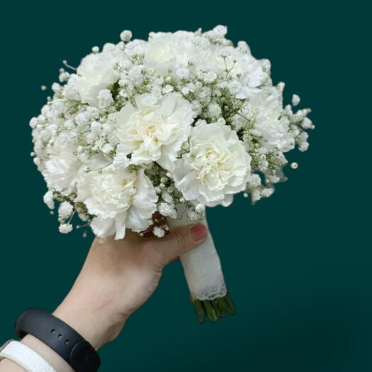 Гвоздика White Cloud   Гипсофила