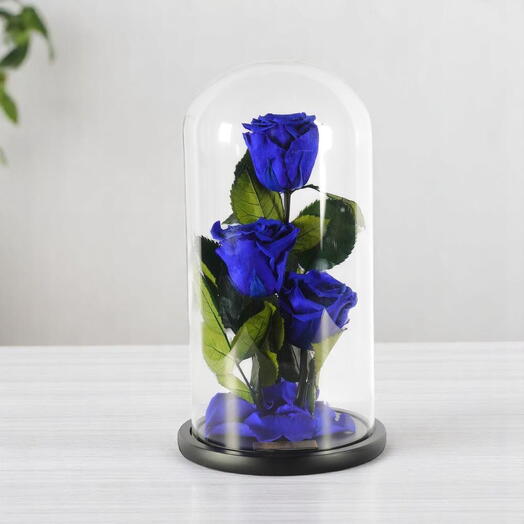 Трио королевско-синих стабилизированных роз в стеклянном куполе
