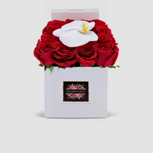 Маленький красный в белом