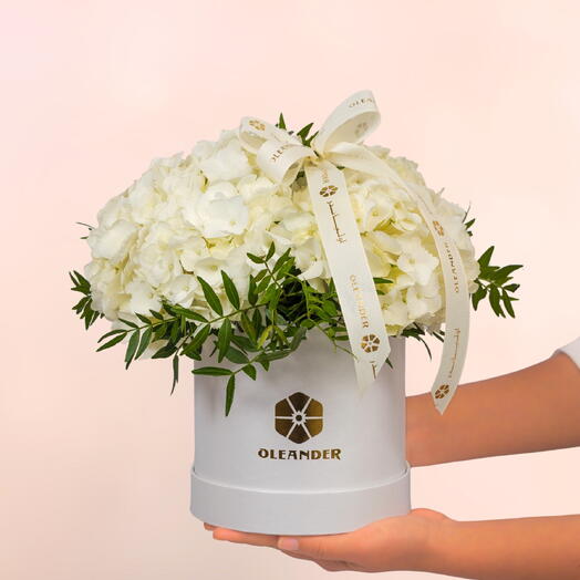 HYDRANGEA WHITE BOX COUTOURE