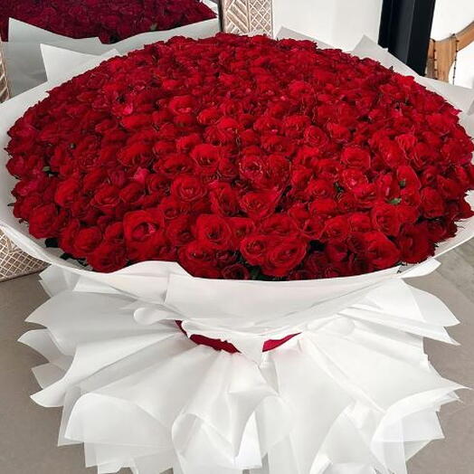 1000 Red Roses