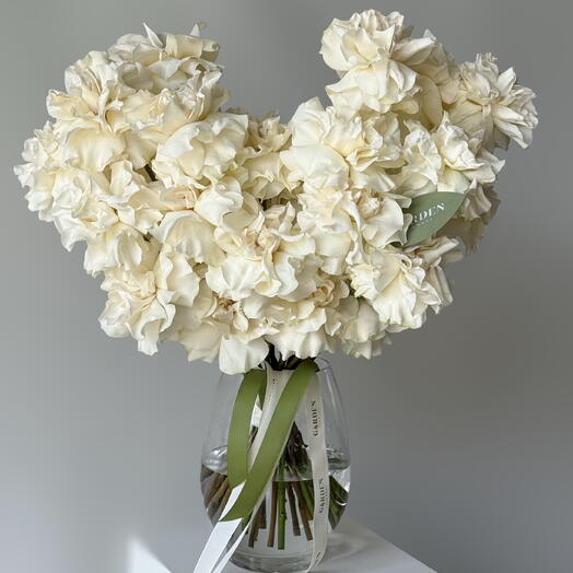 Bouquet of French white roses (21 pcs)