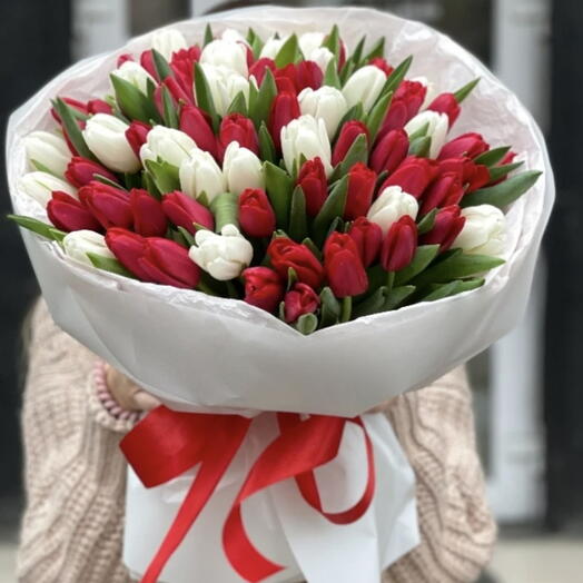 Премиум моно-букет красно-белых тюльпанов