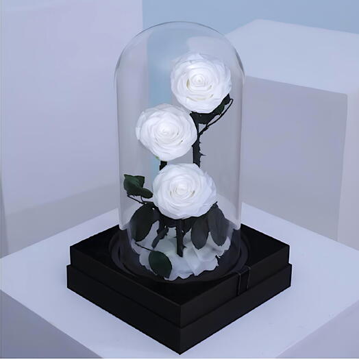 Чистая грация