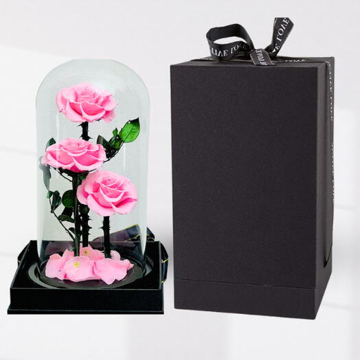 Trio Forever Rose Pink