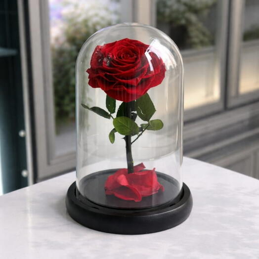 Premium Everlasting Red Rose