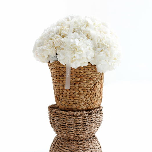 Ivory Cloud Basket
