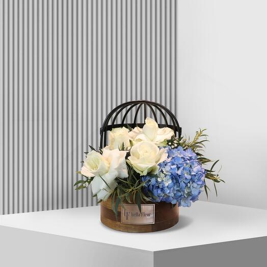 Doli Lakewood - Small