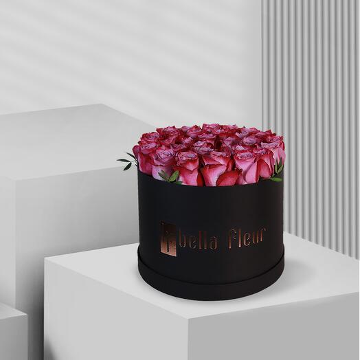 Plum Bella Box - Large