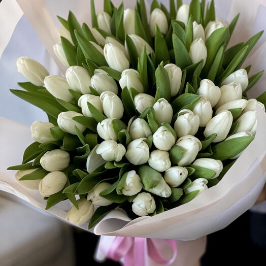 49 White Tulips