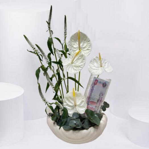 Чистое Процветание