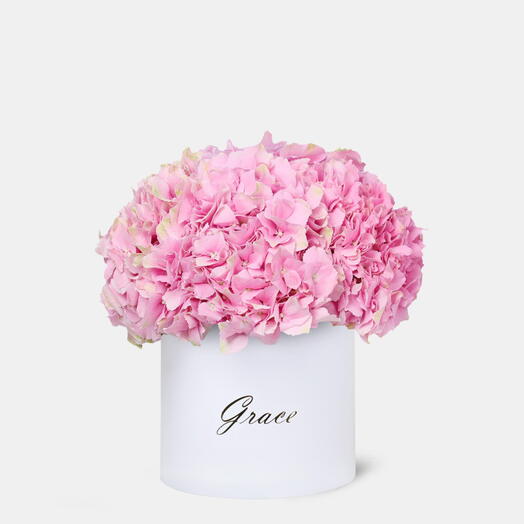 Pink Hydrangea in Small Box
