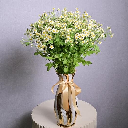 Fresh Daisy Bloom in Gold-White Ceramic Vase  6976
