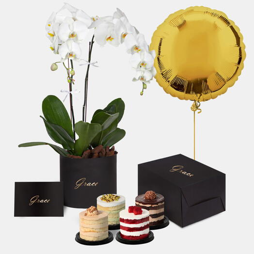 Orchids in Box with Mini Cake and Balloons