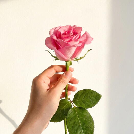 Возрождение роз