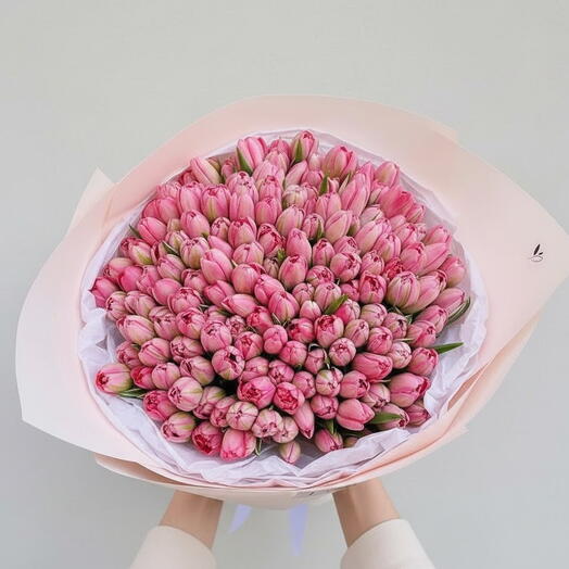 150 прекрасных розовых тюльпанов