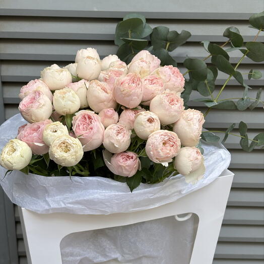 Peonies roses Mansfield