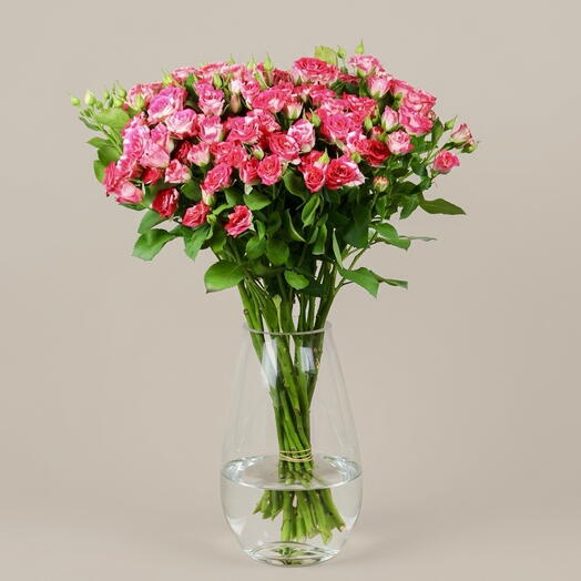 Fire works Spray rose vase 1133