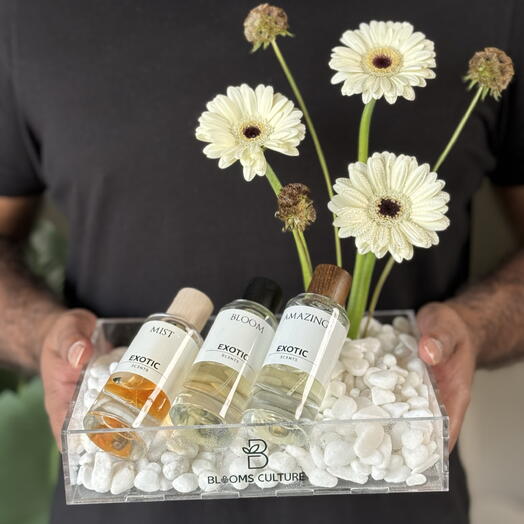 Blush Exotic Perfume Hamper Set