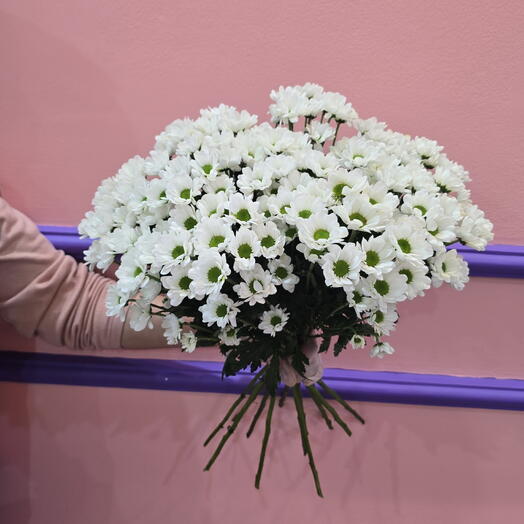 أقحوان سبراي أبيض (15 ساقًا)