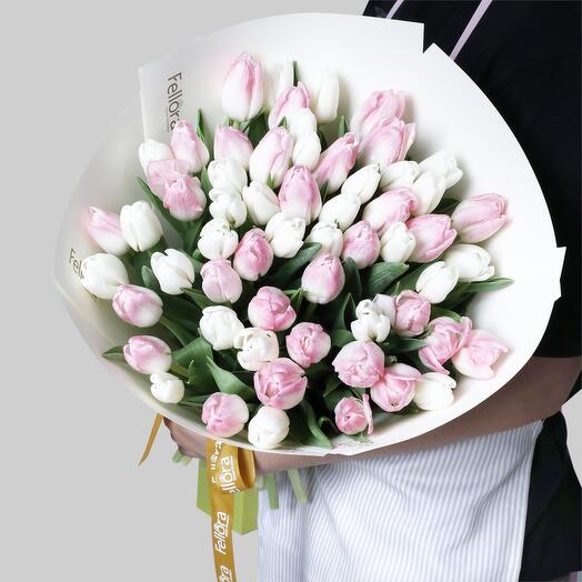 51 Pink And White Tulips-1304