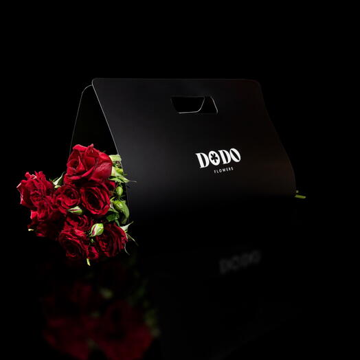 Paquete de papel Dodo