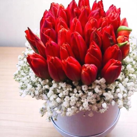 Tulips in a box