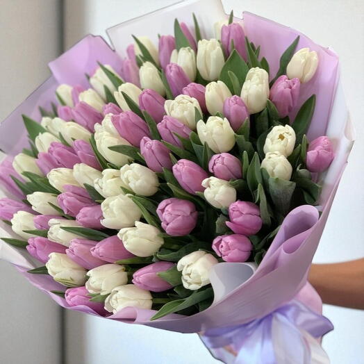 100 tulip ( purple +white)