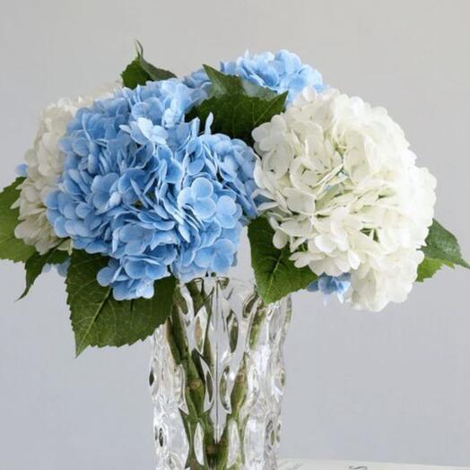 White and Blue Hydrangea vase