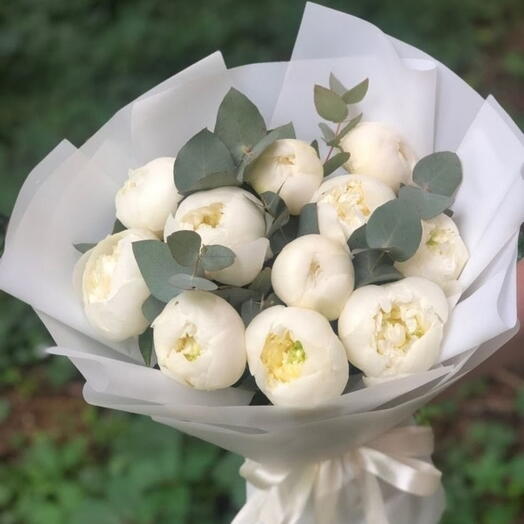 White peony beauty