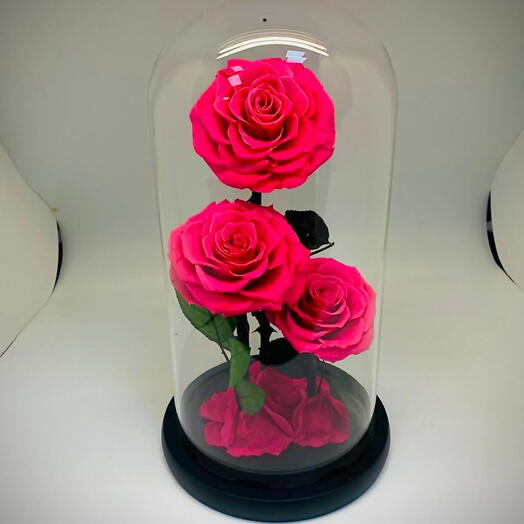Стабилизированная роза розового цвета