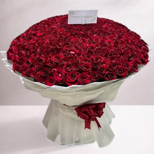 1001 красная роза XXL роскошный букет ко Дню святого Валентина