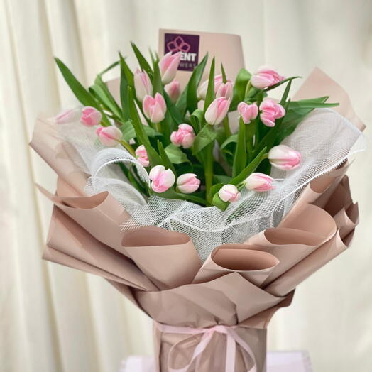 PРозовый тюльпан 🌷