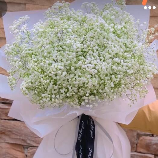15 Stems Gypsophelia Bouquet- 3888