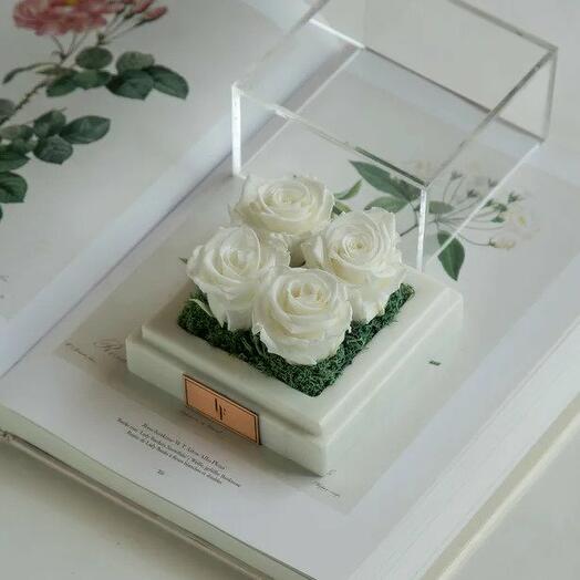 Marble White Infinity Quatro