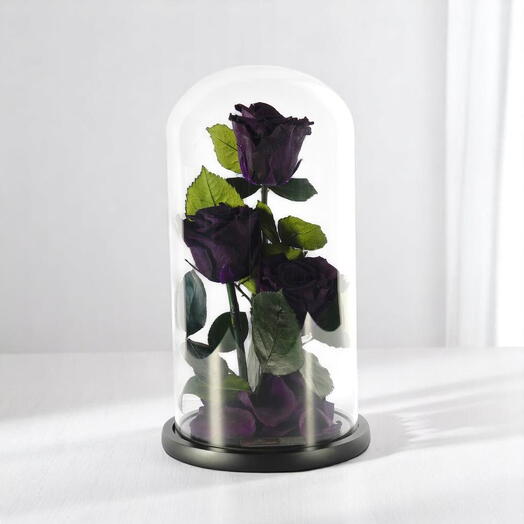 Фиолетовые стабилизированные розы в стеклянном куполе Трио