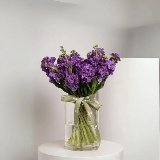 Маттиола тёмно-фиолетовая ваза