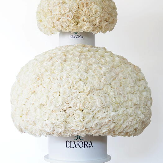 1000 WHITE ROSES IVORY DOME