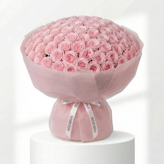 Pink O Hara Roses: The Radiant Elegance XL