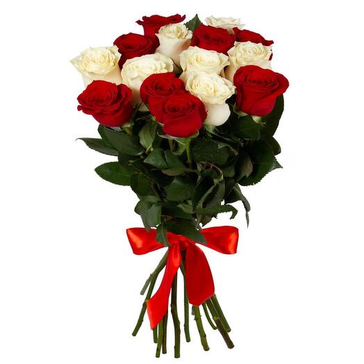 15 Red And White Roses-1300