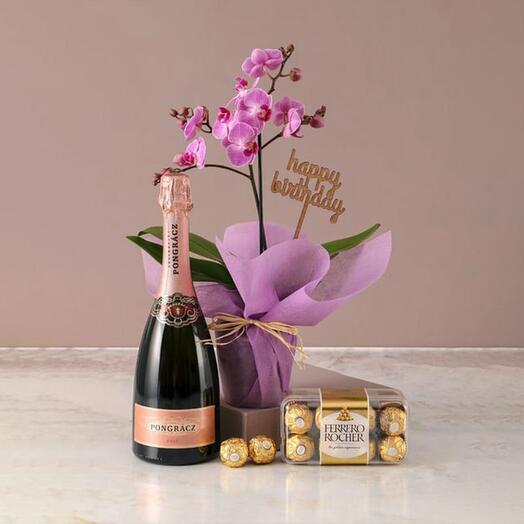 Mini Purple Orchid Plant with Sparkling Juice and Ferrero