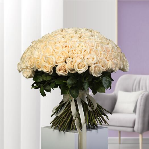 201 White Roses Ribbon