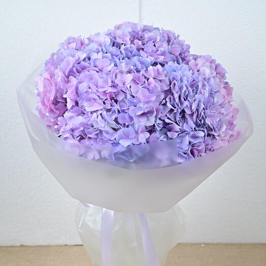 5 Light Purple Hydrangeas-1920