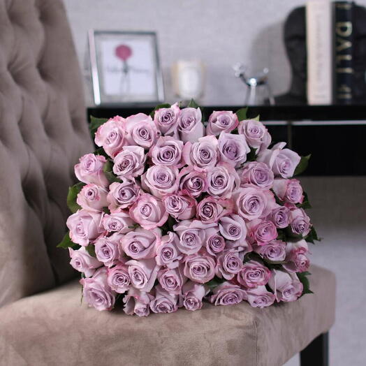 49 Roses Violettes